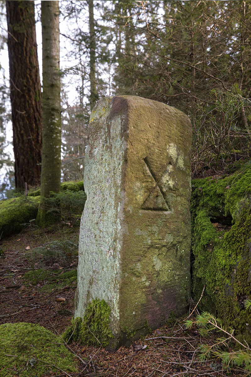 Ein Grenzstein von Alpirsbach